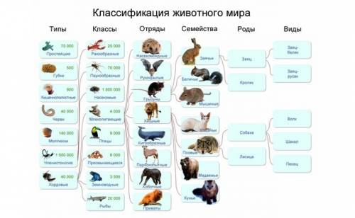 Особенные животные природы моего края таблица 21 4 класс