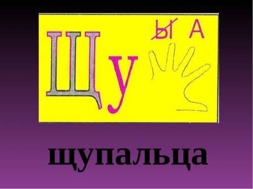 Отгадай и запиши слова. придумай головоломки и ребус на правила написания сочетаний жи.ши.ча.ща.