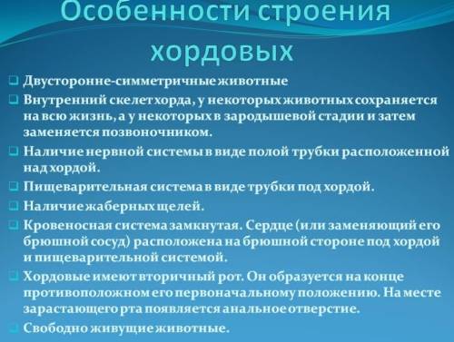 Выпишите из текста параграфа особенности хордовых отличающих их от представителей других типов живот