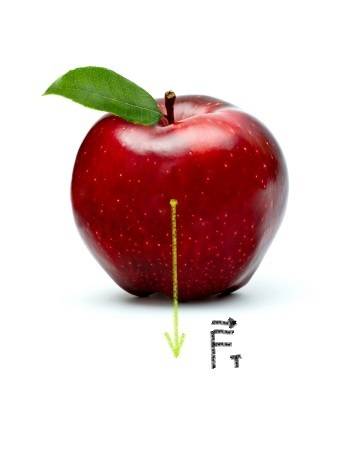 Какая сила тяжести действует на яблоко массой 120 г? изобразите её графически (желательно с объяснен