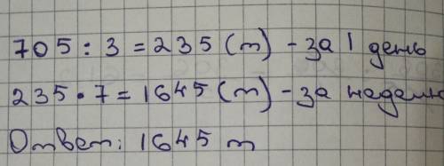 Хлебозавод ежедневно выпекал одинаковое количество хлеба.за 3 дня было выпечено 705 т.хлеба.сколько