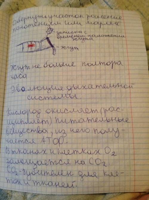 Мне нужна таблица на тему значения дыхания 8 класс органы особенности строения функции