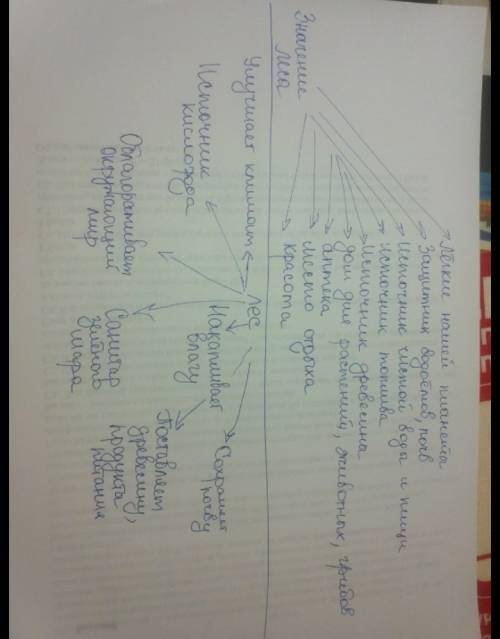 По тексту к. паустовского составьте схему значение леса