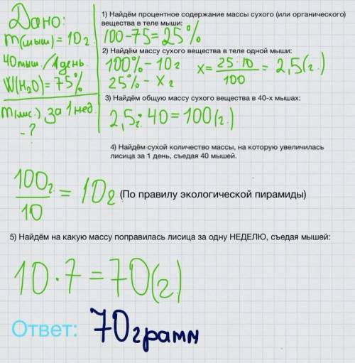 Лисица питается мышами за сутки съедает в среднем 40 грызунов масса одной мыши составляет приблизите