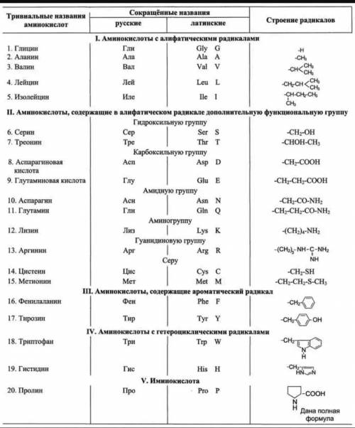 20 аминокислот входящих в состав белков как называются