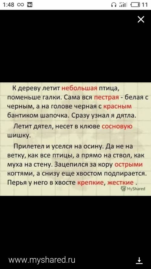 Прочитай текст. о какой птице идет речь? какая часть речи тебе отгадать название птицы? какие призна