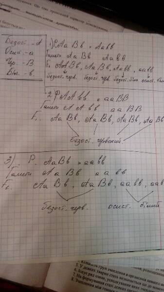 Визначить за фенотипом колосся пщениці при таких схрещуваннях : aabb×aabb; aabb×aabb; aabb×aabb. від