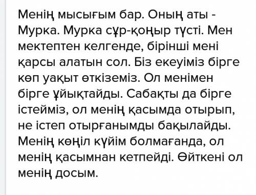 Сочинение на казахском языке с переводом на тему кот 4 класс