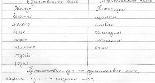 Запиши слова. в два столбика имеют только форму единственного числа и те которые имеют только множес