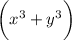 \bigg(x^3+y^3\bigg)