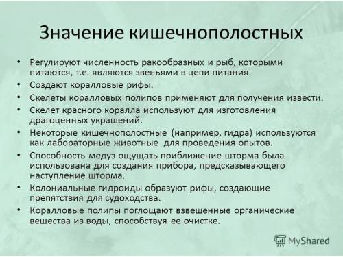 Схема значение ,,кишечно полостных в природе и жизни человека