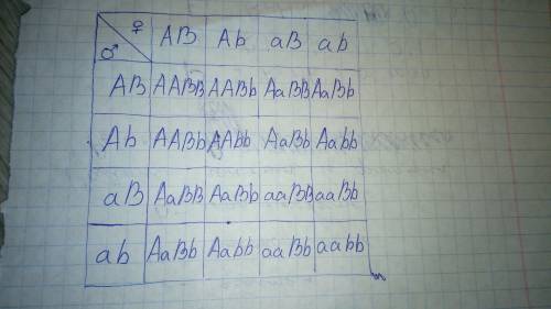 Укрупного рогатого скота ген комолости доминирует над геном рогатости, а ген черного цвета над красн