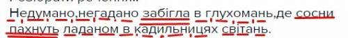 Розібрати речення! : недумано,негадано забігла в глухомань,де сосни пахнуть ладаном в кадильницях св