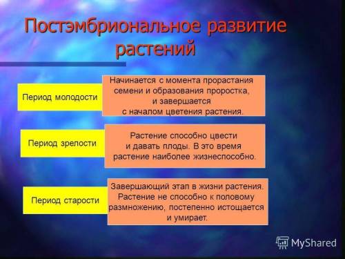 Какие есть постэмбриональные периоды у растений?