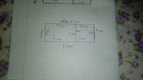Начерти и найди площадь прямоугольника ширина 3см длина 8см. 2)проведи прямую линию так чтобы этот п