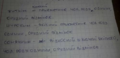 Від бабуні пахло житнім хлібом і широким сонячним степом.знайти прикметники та зробити розбор прикме