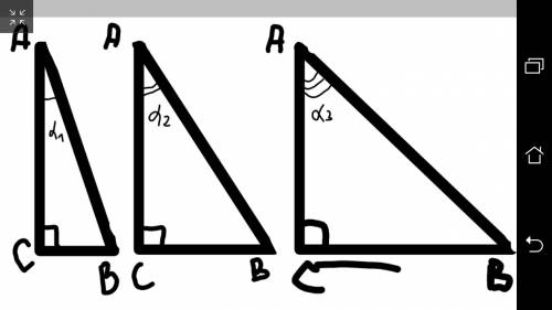 Построить 3 различных по размеру прямоугольных треугольника, так чтобы, градусная мера одного и того