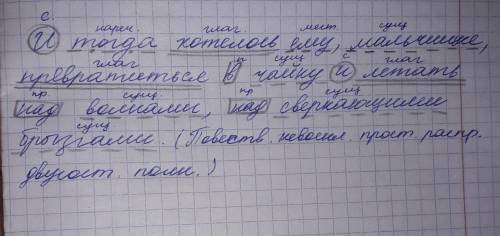 Итогда хотелось ему , мальчишке , превратиться в чайку и летать над волнами , над сверкающими брызга