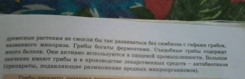 Напишите доклад о роль грибов в жизни человека