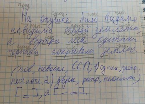 На опушке было видимо невидимо спелой земленики,а внутри леса кустики черники покрывали землю синтак