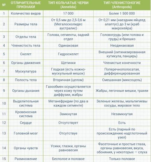 Сравнительная таблица кольчатых и членистоногих