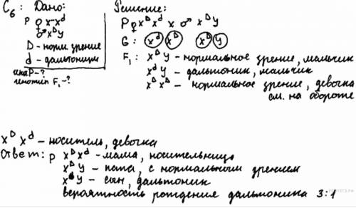 Темноволосая женщина гетерозиготная по гену дальтонизма выходит замуж за мужчину темноволосого с нор