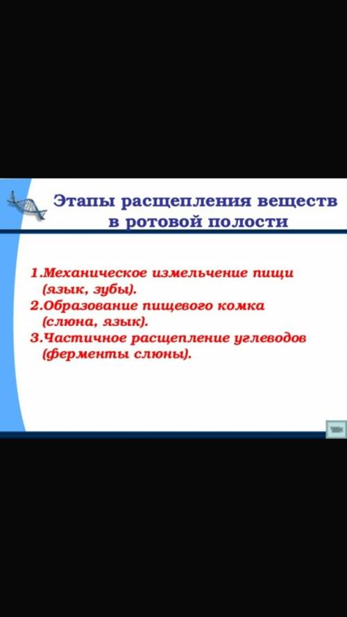 Расщепление веществ в ротовой полости