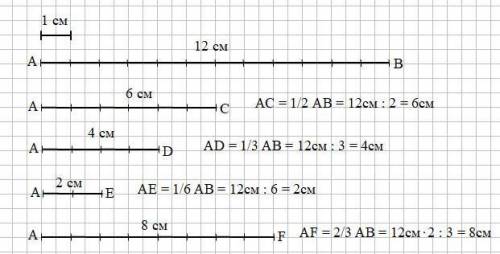 Начерти отрезок ab длиной 12 см. под ним начерти отрезок равный 1/2 части отрезка ab 1/3 части отрез