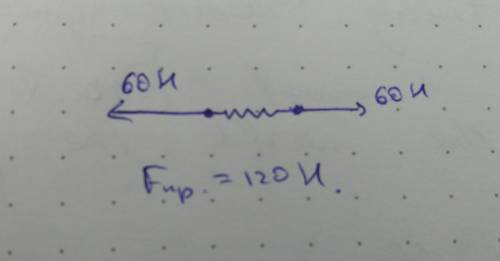 Два хлопчика розтягує динамометер ,кожен прикладає слиу60h.що аоказує динамометер.іть паже