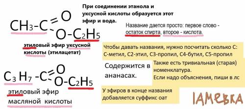 Составьте структурную формулу этилового эфира уксусной кислоты, и этилового эфира масленой кислоты