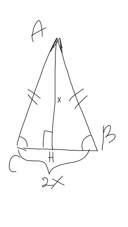 Знайдіть кути рівнобедренного трикутника якщо висота у 2 рази менша за