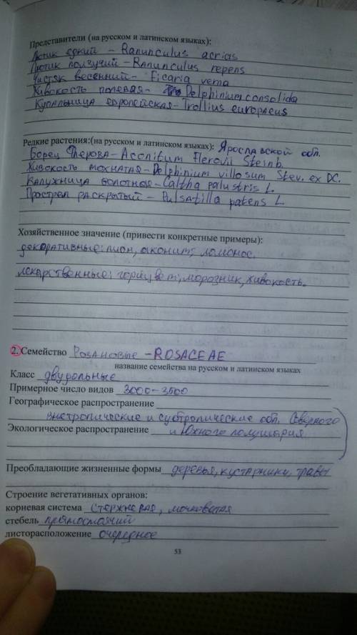 Sos! семейство розоцветные 1.тип листа и его характеристика: цельный или рассечённый,наличие опушени