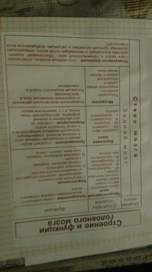 1. объясните в чем заключается взаимосвязь строения и функций разных структур головного мозга. 2. зн