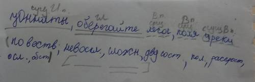 Синтаксический разбор предложения юннаты, оберегайте леса, поля и реки