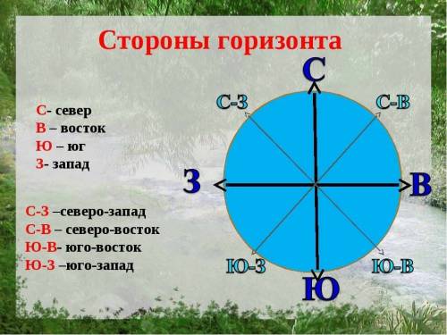 Как найти стороны горизонта на карте? что вы знаете о различиях природы северных и южных районов рос