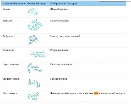 Бактерии ,для которых характерно образование цепочек округлых округлых клеток носят название: 1)кокк