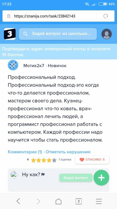 Напишите сочинение рассуждение на тему что такое проффесиональный подход