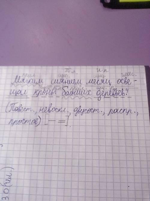 Сделайте синтаксический разбор предложения: мягким сиянием месяц освещал кроны больших деревьев.