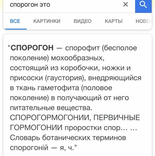 Что такое спорогон? каково его строение и функции