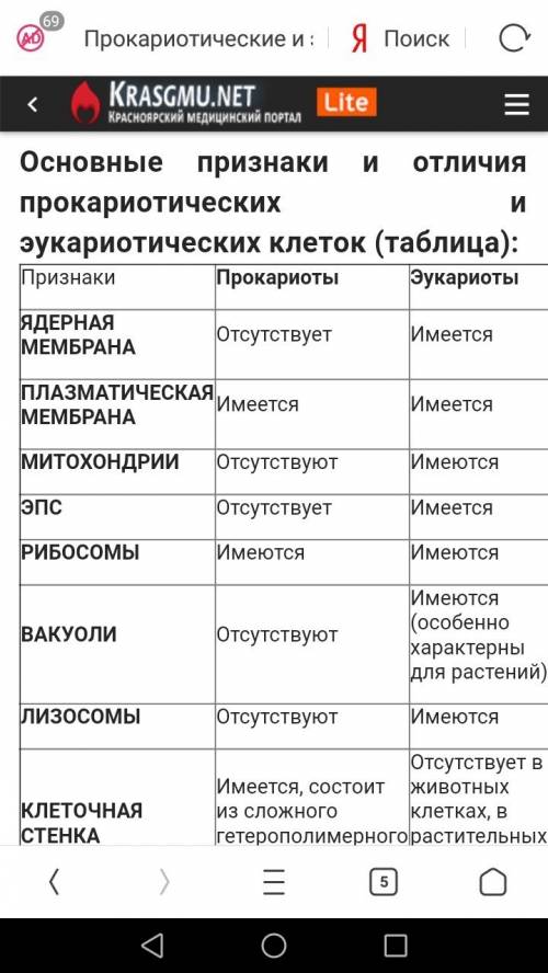 Сравнительная характеристика прокариотической и растительной клетки