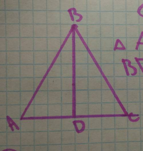 Решить . с чертежом если можно дано: треугольник abc - равнобедренный ac- основание bd- высота доказ