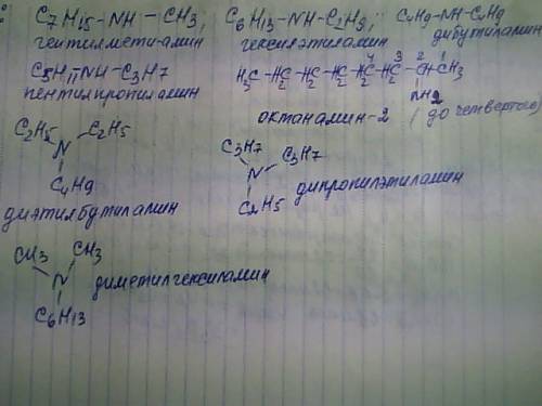 Напишите изомеры состава с8h17nh2 и назовите их (как можно больше)