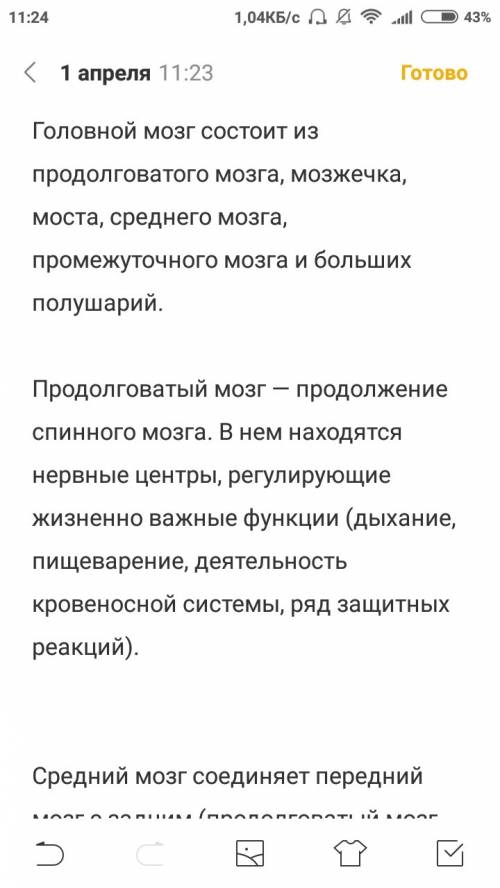 Опишите функции всех отделов головного мозга. какова роль мозжечка в осуществлении движений?