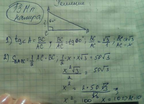 Площадь прямоугольного треугольника равна 50 в корне из 3 . один из острых углов равен 60 градусам .