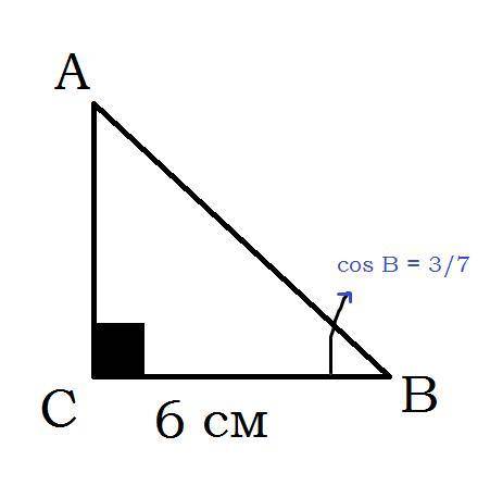 Найдите гипотенузу прямоугольного треугольника abc если с 90 bc 6 см cos b=3\7