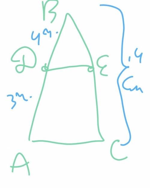 На сторонах ав и вс треугольника авс отмечены соответственно точки d и е. вычисли длину отрезка ве,