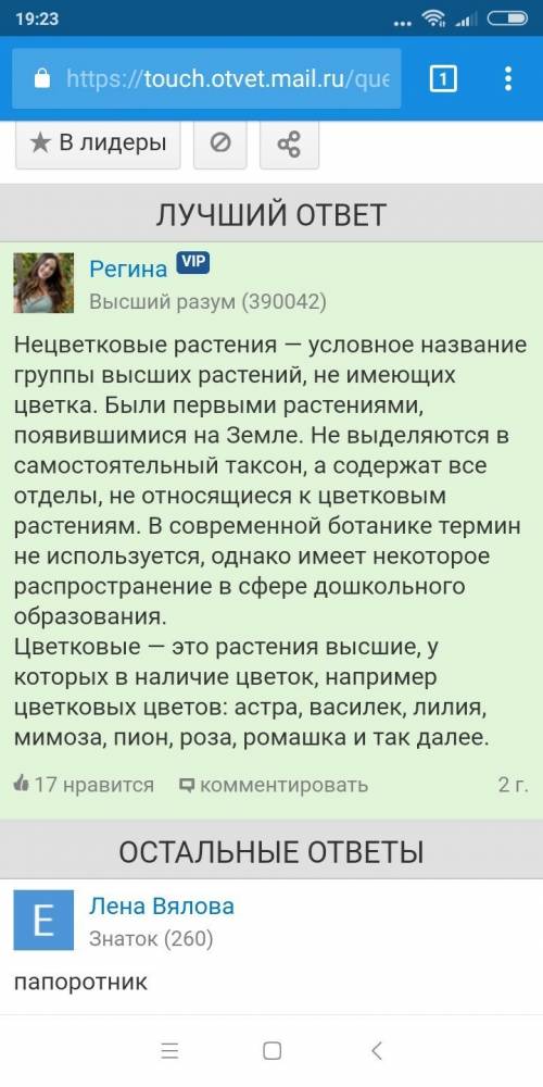 Какие растения относятся к цветковым,а какие к нецветковым?