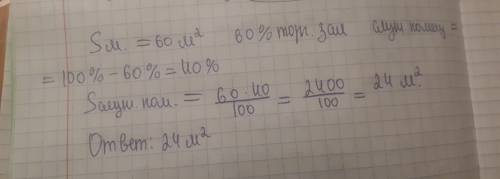 Площадь магазина 60 м квадратных .60% этой площади занято под торговый зал. а остальные под служебны
