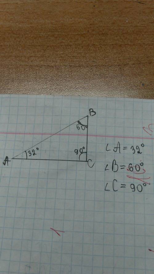 Изобразите прямоугольный треугольник и измерьте его углы()