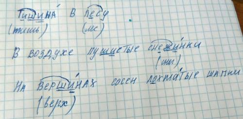 Подчеркнуть орфограммы в словах тишина в лесу. в воздухе пушистые снежинки. на вершинах сосен лохмат